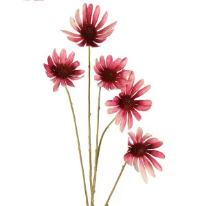 Black Eyed Susan Stem 82cm Pink by Florabelle Living, a Plants for sale on Style Sourcebook