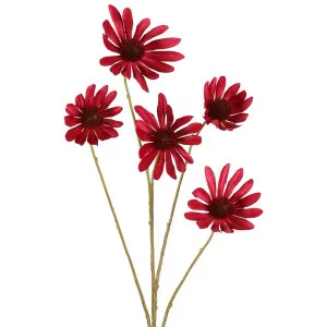 Black Eyed Susan Stem 82cm Beauty by Florabelle Living, a Plants for sale on Style Sourcebook