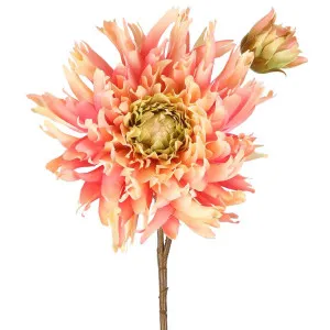 Mum Spray 78cm Pink by Florabelle Living, a Plants for sale on Style Sourcebook