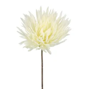 Mum Stem 71cm White by Florabelle Living, a Plants for sale on Style Sourcebook