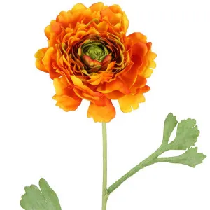 Ranunculus Stem 56cm Orange by Florabelle Living, a Plants for sale on Style Sourcebook