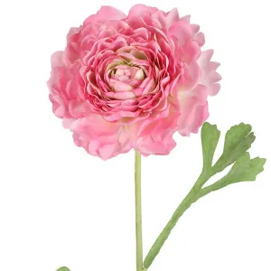 Ranunculus Stem 56cm Pink by Florabelle Living, a Plants for sale on Style Sourcebook