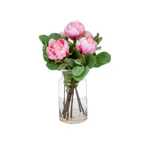 Pink Peony in Toby Vase Lge by Florabelle Living, a Plants for sale on Style Sourcebook