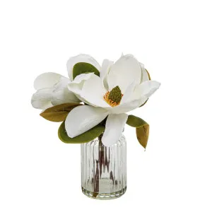 Magnolia in Glass Vase 30cm White by Florabelle Living, a Plants for sale on Style Sourcebook