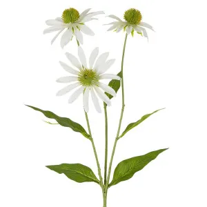 Black Eye Susan Stem 65cm White by Florabelle Living, a Plants for sale on Style Sourcebook