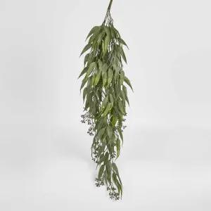Trailing hanging Seeded Eucalyptus Bush by Florabelle Living, a Plants for sale on Style Sourcebook