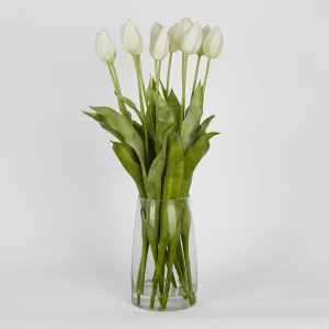 Tulip in Water Vase by Florabelle Living, a Plants for sale on Style Sourcebook