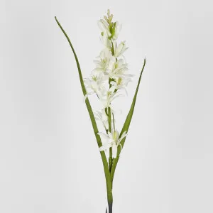 Tuberose 76cm by Florabelle Living, a Plants for sale on Style Sourcebook