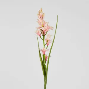 Tuberose Stem Pink 76cm by Florabelle Living, a Plants for sale on Style Sourcebook
