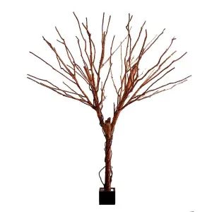 Bareleaf Tree 4m by Florabelle Living, a Plants for sale on Style Sourcebook
