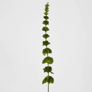 Bells-of-Ireland Stem by Florabelle Living, a Plants for sale on Style Sourcebook