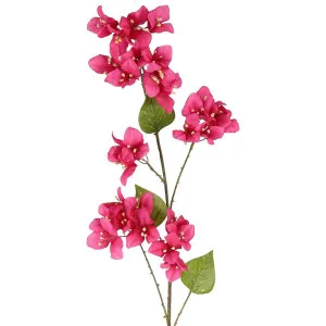 Bougainvillea Spray 118cm Beauty by Florabelle Living, a Plants for sale on Style Sourcebook