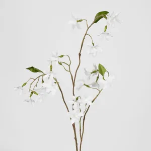 Wild Clematis Spray by Florabelle Living, a Plants for sale on Style Sourcebook