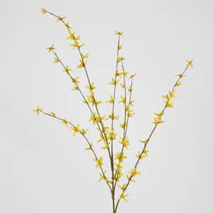 Forsythia Spray by Florabelle Living, a Plants for sale on Style Sourcebook