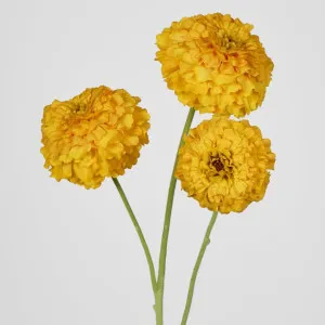 Marigold Spray Yellow by Florabelle Living, a Plants for sale on Style Sourcebook