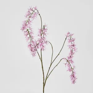Wisteria Spray Pink by Florabelle Living, a Plants for sale on Style Sourcebook