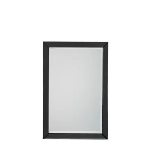 Luna Rectangle Black Mirror by Florabelle Living, a Mirrors for sale on Style Sourcebook