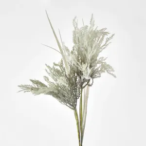 Light Grey Blue Pampas by Florabelle Living, a Plants for sale on Style Sourcebook