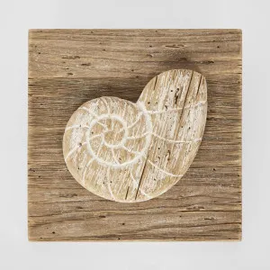 Nautilus Shell on Plaque by Florabelle Living, a Statues & Ornaments for sale on Style Sourcebook