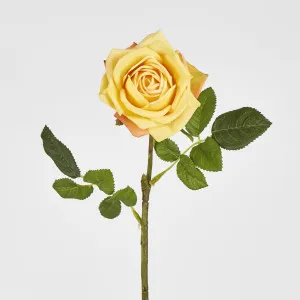 Walter Real Touch Rose Stem Yellow
 61cm by Florabelle Living, a Plants for sale on Style Sourcebook