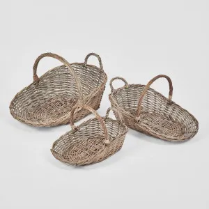 Willow Trug S/3 by Florabelle Living, a Statues & Ornaments for sale on Style Sourcebook