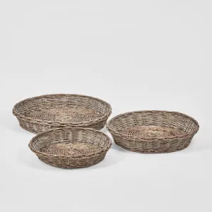 Willow Trays Round S/3 by Florabelle Living, a Statues & Ornaments for sale on Style Sourcebook