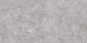 Nordic Grey (12mm) by Quantum Porcelain, a Solid Surfaces for sale on Style Sourcebook