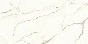 Nuovo Dorato (12mm) by Quantum Porcelain, a Solid Surfaces for sale on Style Sourcebook