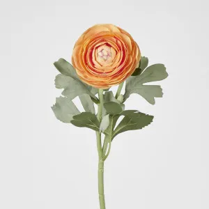 Clara Orange Ranunculus Spray
 49cm by Florabelle Living, a Plants for sale on Style Sourcebook