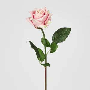 Ingrid Rose Real Touch Light Pink
 46cm by Florabelle Living, a Plants for sale on Style Sourcebook