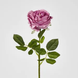 Dianna Real Touch Rose Steam Autumn Pink
 60cm by Florabelle Living, a Plants for sale on Style Sourcebook