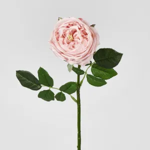 Dianna Real Touch Rose Steam Light Pink
 60cm by Florabelle Living, a Plants for sale on Style Sourcebook