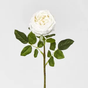 Dianna Real Touch Rose Stem White 60cm by Florabelle Living, a Plants for sale on Style Sourcebook