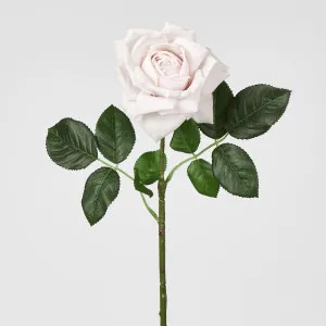 Walter Real Touch Rose Stem Soft Pink 61cm by Florabelle Living, a Plants for sale on Style Sourcebook