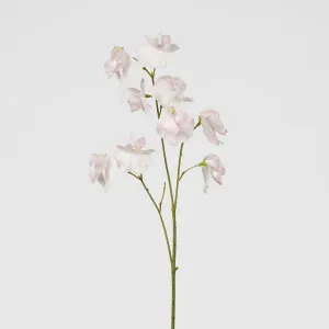 Jane Sweet Pea 60cm Pink by Florabelle Living, a Plants for sale on Style Sourcebook