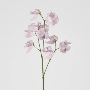 Jane Sweet Pea 60cm White & Purple by Florabelle Living, a Plants for sale on Style Sourcebook