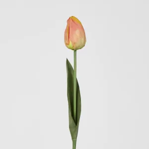 Liv Soft Touch Tulip Orange
 45cm by Florabelle Living, a Plants for sale on Style Sourcebook