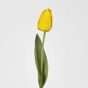 Liv Tulip 45cm Yellow by Florabelle Living, a Plants for sale on Style Sourcebook