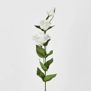White Lisianthus Spray by Florabelle Living, a Plants for sale on Style Sourcebook