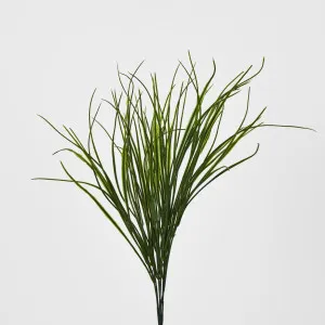 Green Grass Bush by Florabelle Living, a Plants for sale on Style Sourcebook