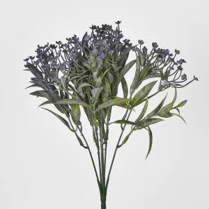 Purple Mini Daisy Bush by Florabelle Living, a Plants for sale on Style Sourcebook