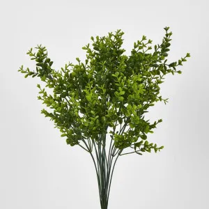 Green Boxwood Bush by Florabelle Living, a Plants for sale on Style Sourcebook
