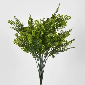 Green Fern Bush by Florabelle Living, a Plants for sale on Style Sourcebook