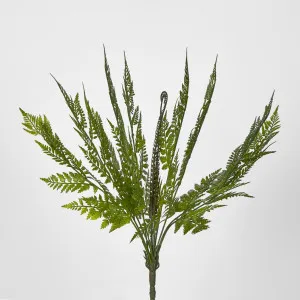 Green Fern Bush by Florabelle Living, a Plants for sale on Style Sourcebook