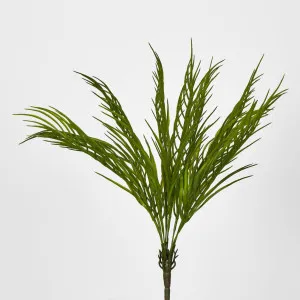 Green Fern Palm Bush by Florabelle Living, a Plants for sale on Style Sourcebook