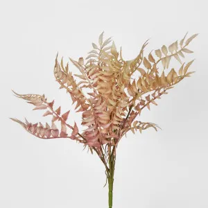 Cream Pink Fern Bush by Florabelle Living, a Plants for sale on Style Sourcebook
