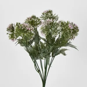 Bush x 7 Light Pink by Florabelle Living, a Plants for sale on Style Sourcebook
