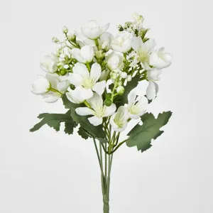 Blossom by Florabelle Living, a Plants for sale on Style Sourcebook