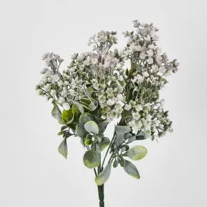 Bush by Florabelle Living, a Plants for sale on Style Sourcebook