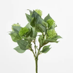 Allium Bush by Florabelle Living, a Plants for sale on Style Sourcebook